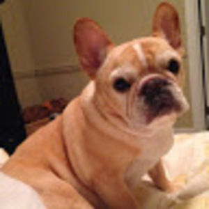 Meet your Posher, Elisha